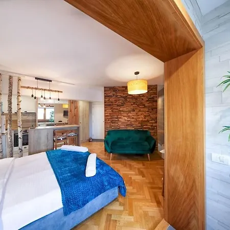 Tiny Studio Brasov-3